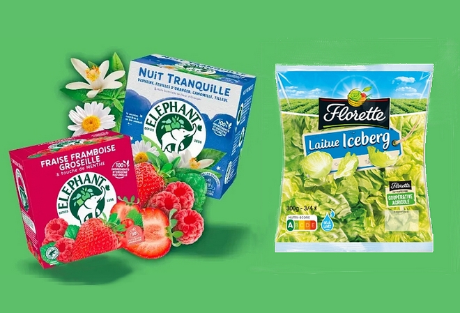 Les marques Florette et Elephant investissent les médias sociaux avec Castor & Pollux